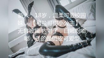 厕拍大神野狼（台大集錦10期）被评为最美女神的校花级小姐姐的私处果然同样光鲜靓丽