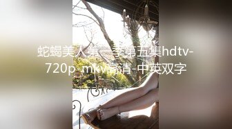 蛇蝎美人第一季第五集hdtv-720p-mkv高清-中英双字