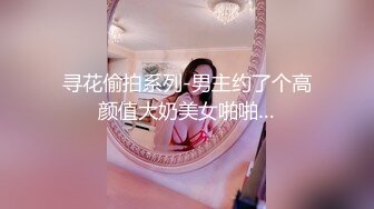 寻花偷拍系列-男主约了个高颜值大奶美女啪啪…