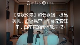 【陪我沦陷】超骚欲姐，极品美乳，户外裸奔，车震无套狂干，白花花的肉体玩弄 (2)