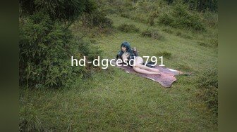 hd-dgcesd-791