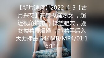 024沈阳36D炮友