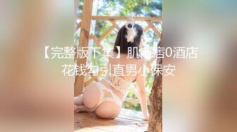 [无码破解]DKTM-017 俺の妻と母が修羅場過ぎて困ってます！！ 松本まりな 瀧川花音