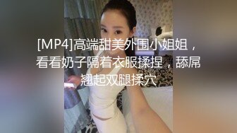 [MP4/ 357M] 很正的小少妇丝袜露脸情趣装真骚，交大鸡巴激情上位这屁股真诱人，淫声荡语各种抽插