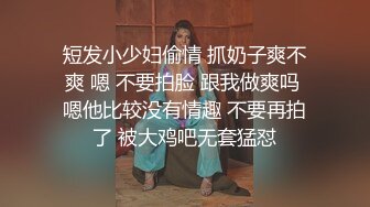 《反差女神✿淫荡泄密》人生赢家京城有钱富少与他的两位极品模特身材骚母狗，一王两后调教户外露出排插，为了钱乖乖听话