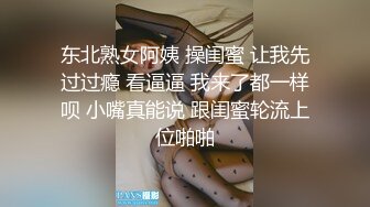 久久精品无码人妻A级毛片