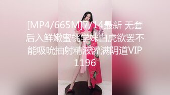 乌克兰美女Mila Azul的Onlyfans最新大合集，各种道具秀尺度更大，肛塞、假jb、电动玩具自慰【730V】 (2)