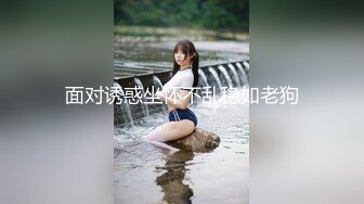 面对诱惑坐怀不乱稳如老狗