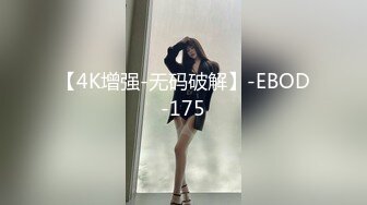 [FHD/7.49G]RBD-368 恥ずかしい私を見ないで3 西野翔【BVPP】