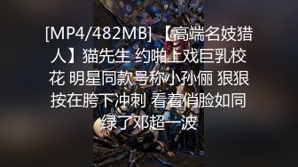 蜜桃传媒PMC394美胸御姐帮弟弟乳交