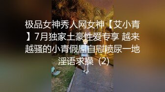 极品女神秀人网女神【艾小青】7月独家土豪性爱专享 越来越骚的小青假屌自慰喷尿一地 淫语求操  (2)