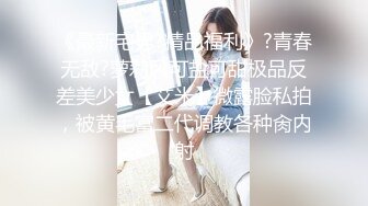 国产CD伪娘系列蜜雅黑丝坐骑大丁丁 很是妩媚的打飞机射在黑丝美腿上