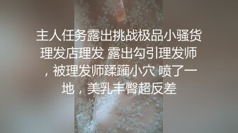 秀人网嫩模李梓熙大尺度视频-淫叫