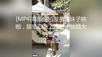 眼镜少妇上位全自动