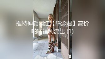 爱豆传媒ID5383偷心女盗的完美性任务