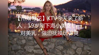 【卅卅寻花】KTV今天来了新人，19岁刚下海小美女，一对美乳，强迫抚摸玩得爽