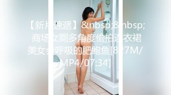 [MP4/744MB]麻豆傳媒 這個面試有點硬 MDHG0008 性感可愛首席女神 蘇暢