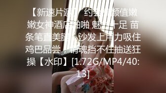 【麻豆传媒】mdsr-0006-2 小凤新婚下传媒 高冷新妻性奴-艾熙