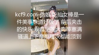 BJ佩尔西恩230812-7