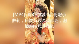 91经典系列资源整理合集P2【105V】 (24)