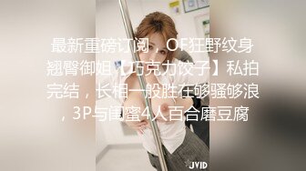 STP26074 【女神的幸福生活】气质超美小姐姐，反差婊一脸淫荡，浪叫呻吟好听，搞玩还不尽兴，振动棒抽插肥穴