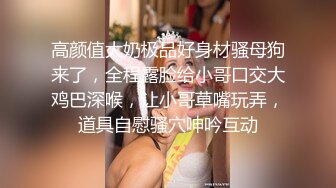 和女友闺蜜偷偷出去车震，极品绝美身材