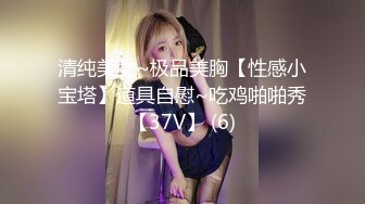 清纯美女~极品美胸【性感小宝塔】道具自慰~吃鸡啪啪秀【37V】 (6)