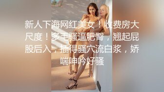 游乐场女厕两次拍到极品少妇的丰满大肥鲍 (1)