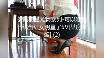 安防精品尤物系列-可以媲美一线当红女明星了5V[某房原版] (2)