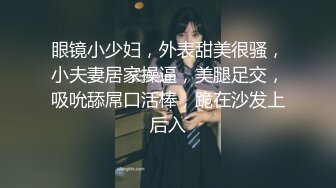 淫娃御姐 窈窕身材170cm大长腿车模女神 淑怡 平面模特的沦陷 上 大屌后入爆肏网丝女神 内射小穴