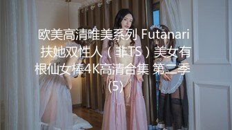 欧美高清唯美系列 Futanari 扶她双性人（非TS）美女有根仙女棒4K高清合集 第二季  (5)