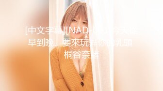 [中文字幕][NAD-001]今天從早到晚、要來玩弄你的乳頭 桐谷奈緒