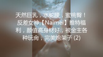 天然巨乳，水蛇腰，蜜桃臀！反差女神【Naimei】推特福利，颜值高身材好，被金主各种玩肏，完美炮架子 (2)